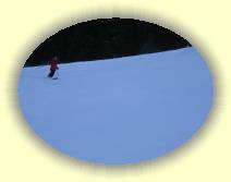 IMG_8152 * 2592 x 1944 * (1.59MB)