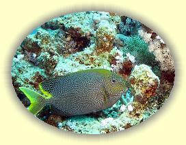 20090618_012 * 1252 x 941 * (456KB)