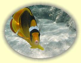 20090618_017 * 911 x 682 * (84KB)