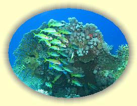 20090618_022 * 2429 x 1819 * (735KB)