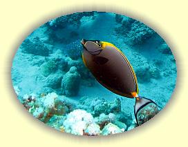 20090618_028 * 1091 x 826 * (208KB)