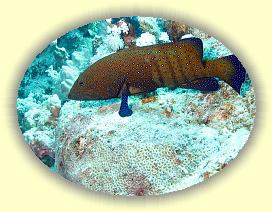 20090618_029 * 1279 x 962 * (447KB)