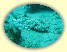 20090619_005 * 1358 x 1022 * (253KB)