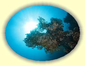 20090619_030 * 3072 x 2304 * (2.51MB)