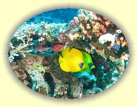 20090620_004 * 2045 x 1546 * (607KB)