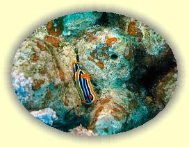 20090620_014 * 3072 x 2304 * (3.37MB)