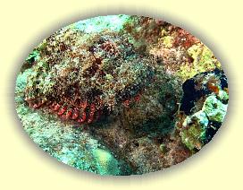 20090620_051 * 1377 x 1033 * (445KB)