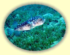 20090621_009 * 3072 x 2304 * (1.43MB)