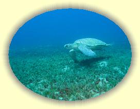 20090621_013 * 3072 x 2304 * (731KB)