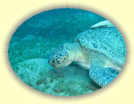 20090621_020 * 3072 x 2304 * (3.21MB)