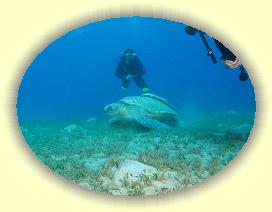 20090621_036 * 2588 x 1950 * (548KB)