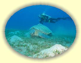 20090621_039 * 3072 x 2304 * (2.74MB)