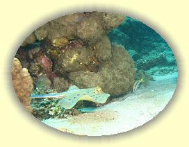 20090621_046 * 2053 x 1546 * (524KB)