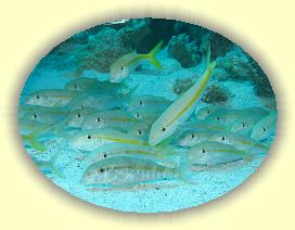 20090621_061 * 3072 x 2304 * (2.91MB)