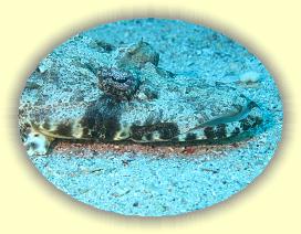 20090621_062 * 3072 x 2304 * (3.71MB)