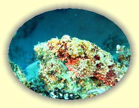 20090621_068 * 3072 x 2304 * (1.33MB)