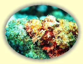 20090621_069 * 3072 x 2304 * (1.25MB)