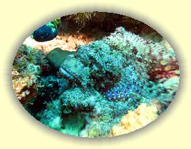 20090622_012 * 3072 x 2304 * (1.18MB)