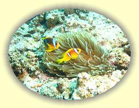 20090623_002 * 3072 x 2304 * (4.19MB)