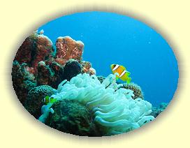 20090623_010 * 1958 x 1472 * (325KB)