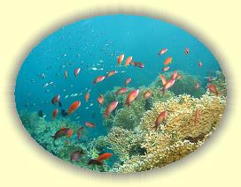 20090623_012 * 3072 x 2304 * (3.13MB)