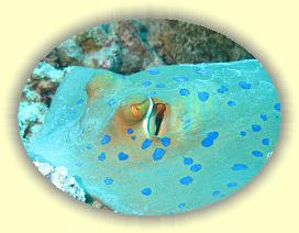 20090624_005 * 3072 x 2304 * (3.09MB)