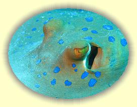 20090624_006 * 3072 x 2304 * (3.61MB)