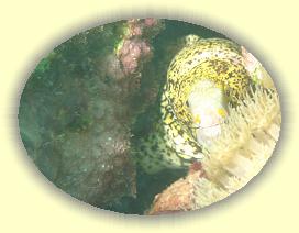 20090624_023 * 1742 x 1312 * (255KB)