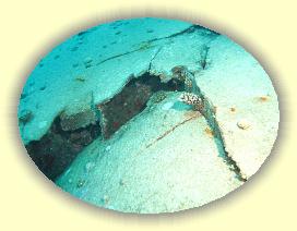 20090625_021 * 3072 x 2304 * (3.46MB)