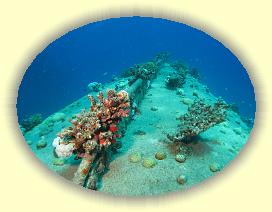 20090625_022 * 3072 x 2304 * (3.11MB)