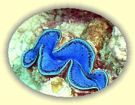 20090625_043 * 1616 x 1216 * (413KB)