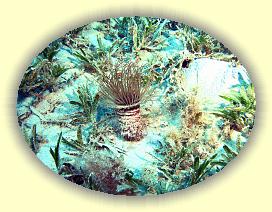 20090625_044 * 3072 x 2304 * (2.17MB)