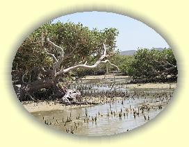 20090625_061 * 3072 x 2304 * (4.07MB)