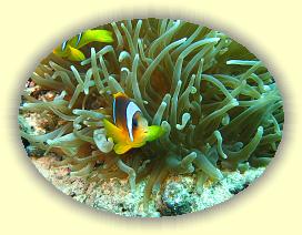 20090626_004 * 3072 x 2304 * (3.43MB)