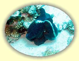 20090626_011 * 3072 x 2304 * (1.19MB)