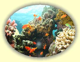 20090626_028 * 3072 x 2304 * (3.2MB)