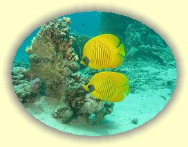 20090626_033 * 3072 x 2304 * (3.51MB)