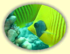 20090626_034 * 3072 x 2304 * (2.45MB)