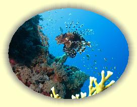 20090626_041 * 2727 x 2059 * (3.21MB)