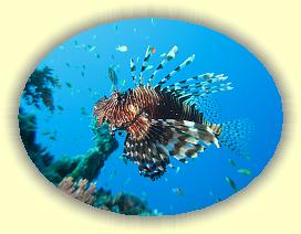 20090626_043 * 3072 x 2304 * (2.43MB)