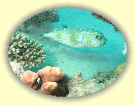 20090626_058 * 3072 x 2304 * (2.83MB)