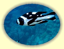 20090627_007 * 1647 x 1235 * (189KB)