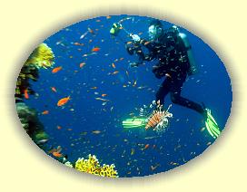 20090627_017 * 1982 x 1493 * (379KB)