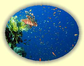 20090627_026 * 2140 x 1622 * (484KB)