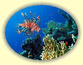 20090627_027 * 2563 x 1936 * (685KB)