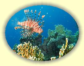 20090627_030 * 2503 x 1892 * (535KB)