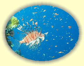 20090627_033 * 2012 x 1519 * (309KB)