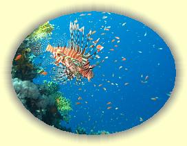 20090627_034 * 2579 x 1950 * (458KB)