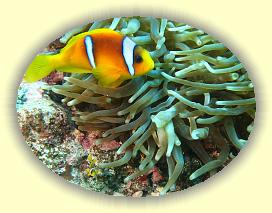 20090628_004 * 2173 x 1647 * (580KB)