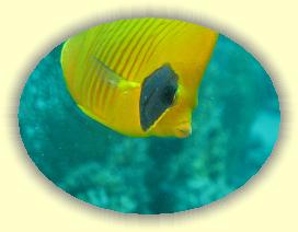 20090628_015 * 3072 x 2304 * (2.24MB)